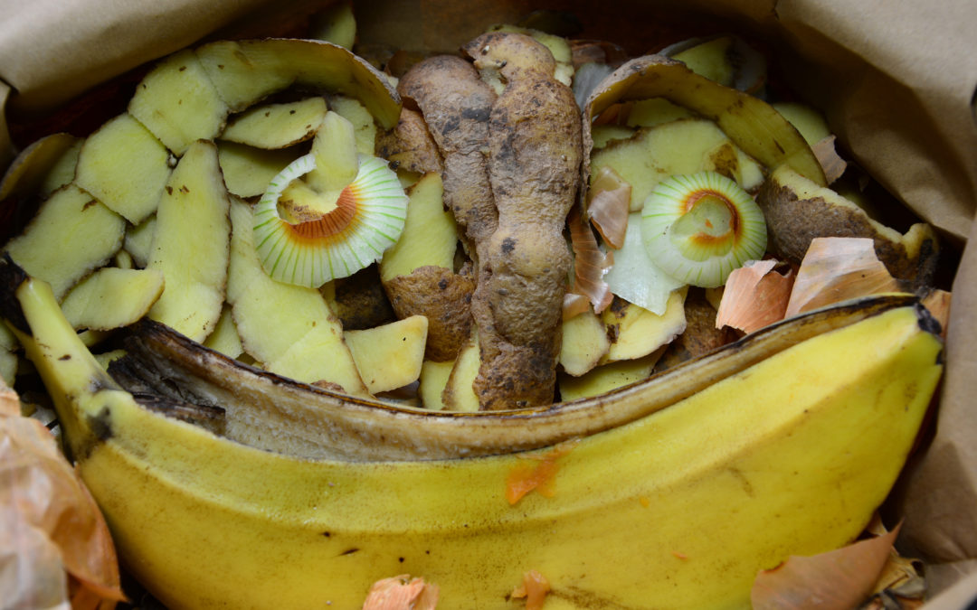 Kompostoitavaksi meneviä vihannes- ja hedelmäjätteitä, esimerkiksi banaanin kuoret ja perunan sekä sipulin kuoria
